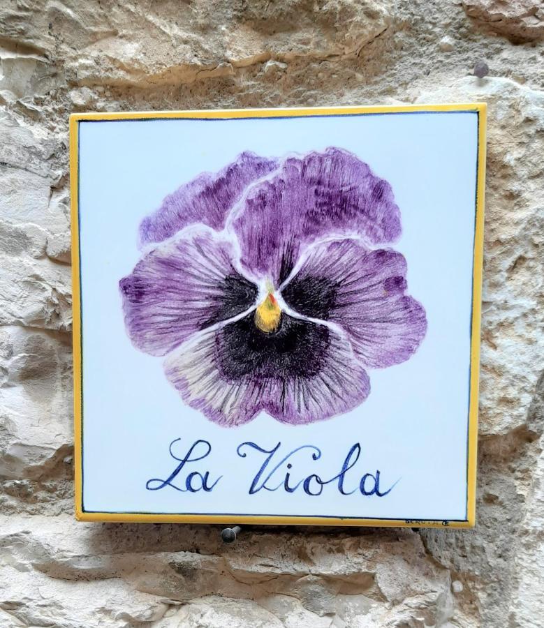La Viola Di Assisi酒店 外观 照片